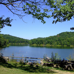 color photo of a calm lake surrounded by trees and gentle hills
